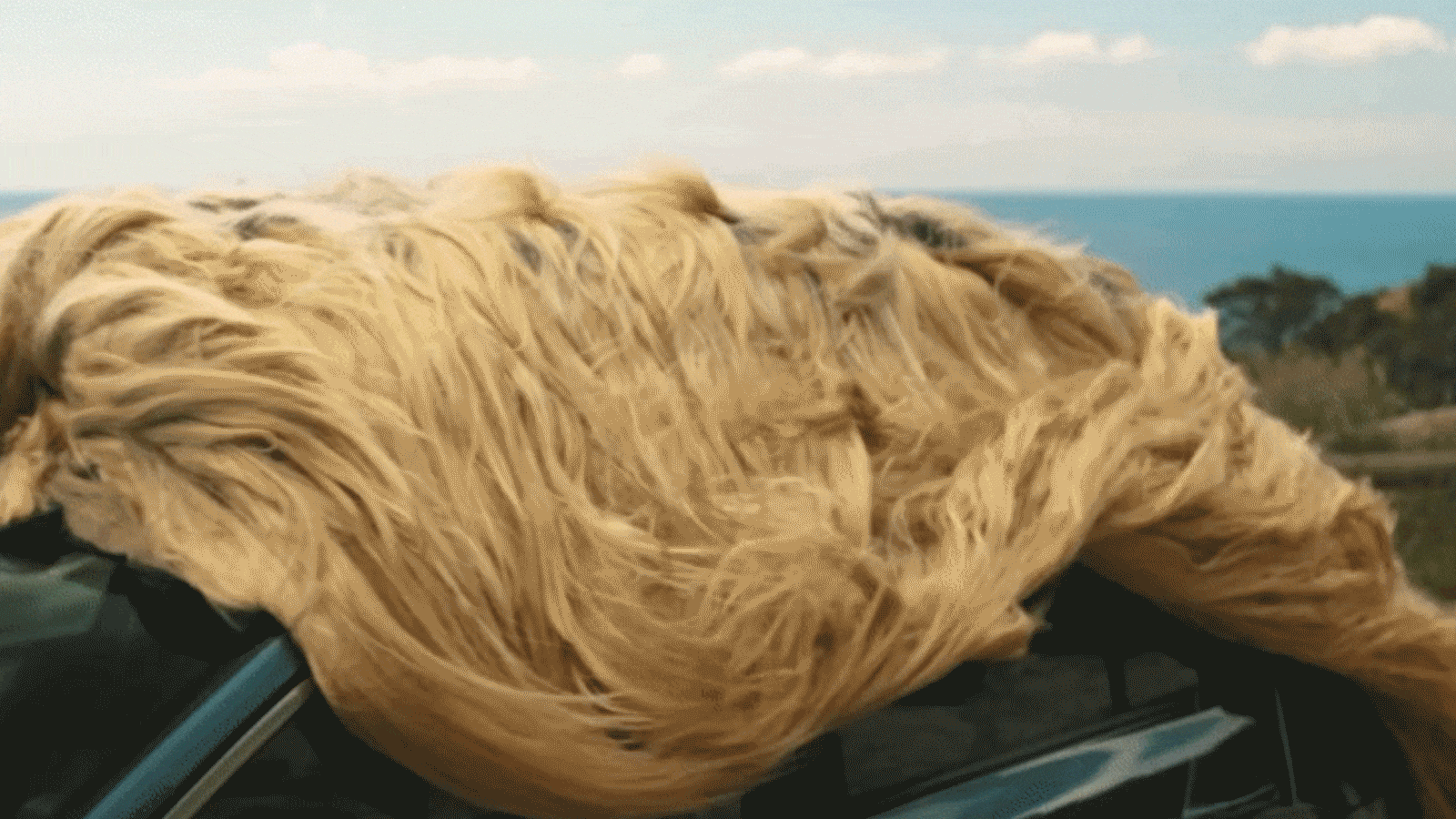 ezgif-3-733d0179c7.gif