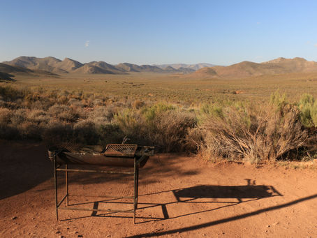 Gecko Rock - February 2026