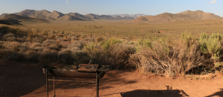 Gecko Rock - February 2026