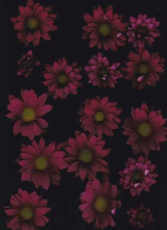 17.png
