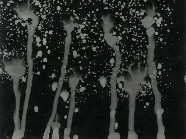 dark room 17.jpg