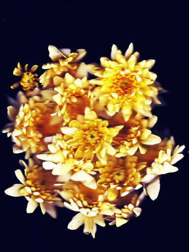 scanner edit 7.jpg
