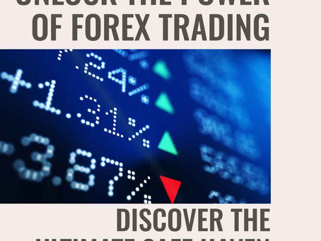 Video webinar description: Untapped Potential of Forex of Long Term Holder