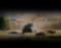 case-study-logos-truck-black.jpg