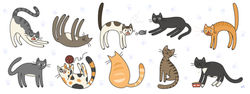 Original Illustration