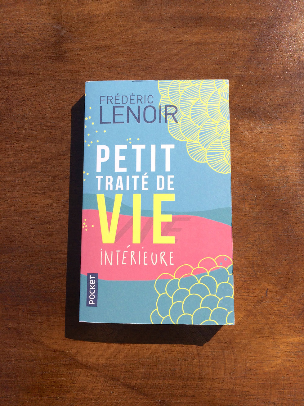 Photo du livre Petit traité de vie intérieure, de Frédéric Lenoir