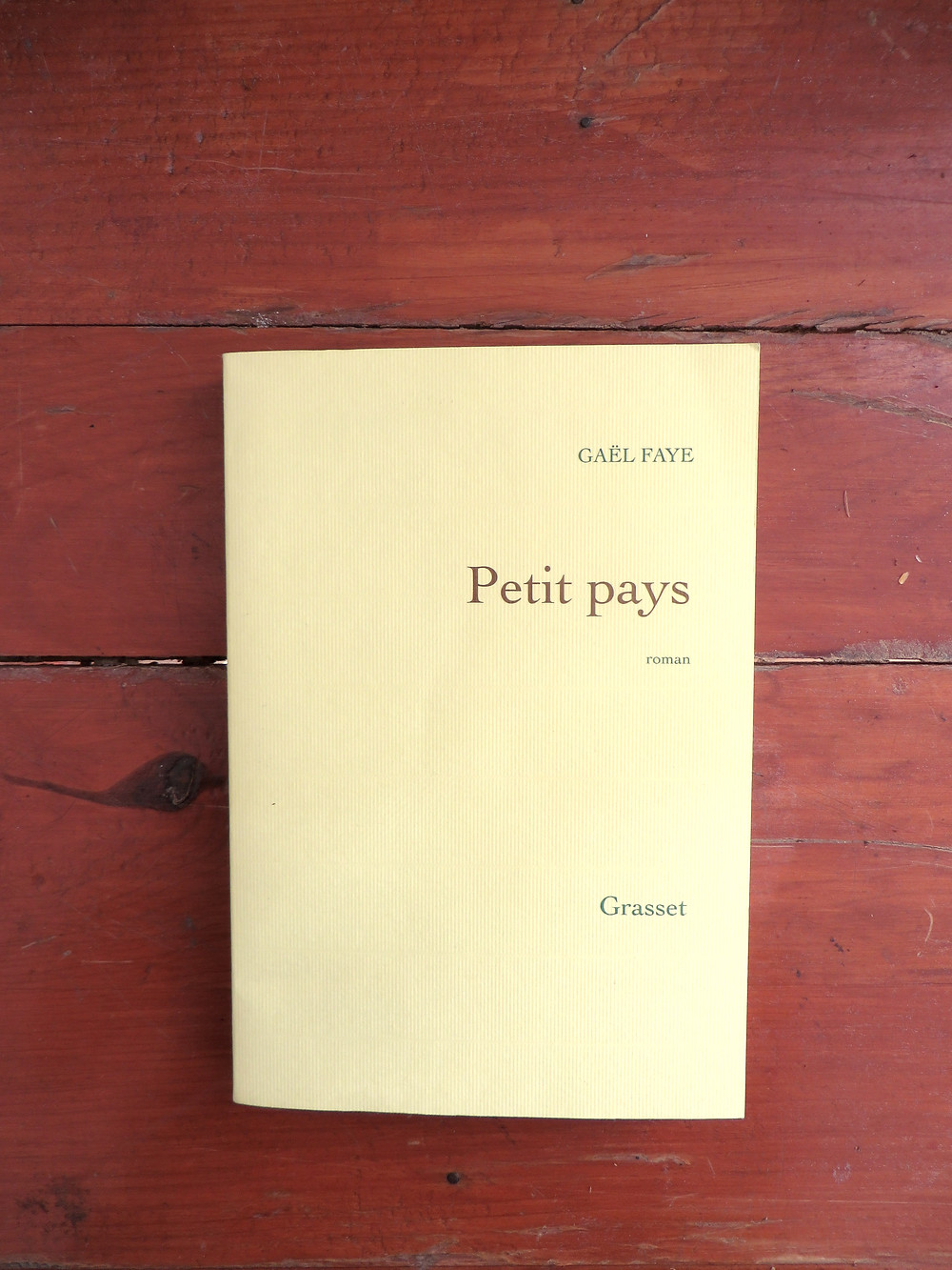 Photo du livre Petit Pays, Gaël Faye (1)