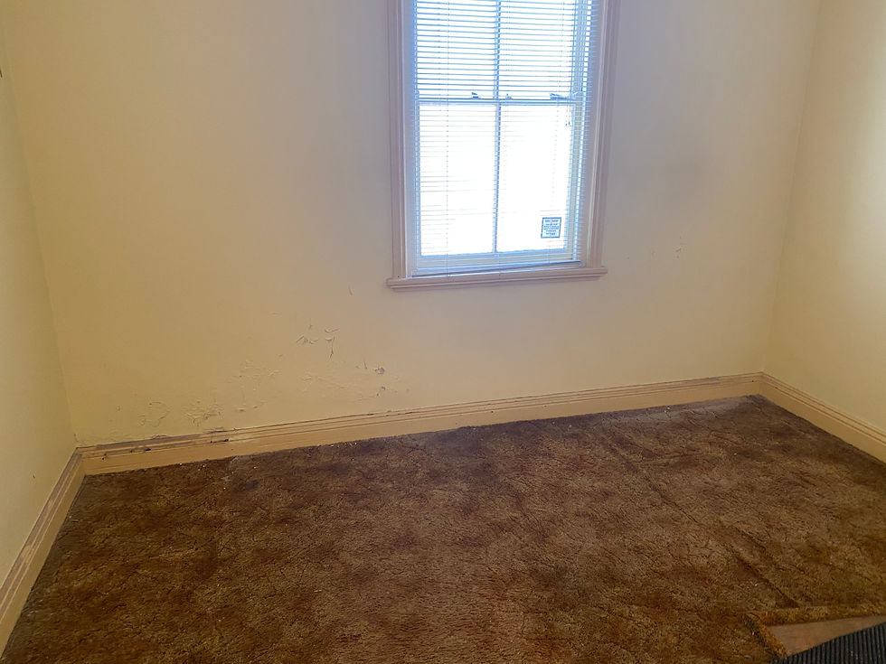 Rising Damp Wall