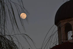 Patricia Abarca Zamora