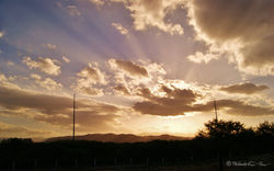 Yolanda Cobarrubias-Zacatecas.jpg