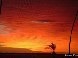Francisco Javier Rocha Duran