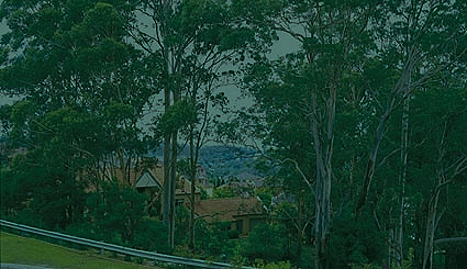 Mobile personal training in Drummoyne with Evidence Based Motion