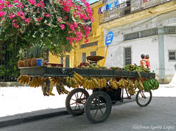 Ildefonso Igorra López