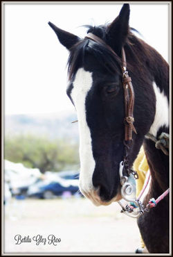 Beatriz González Rico