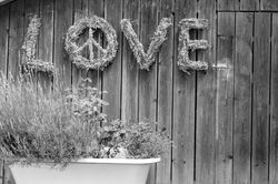 love