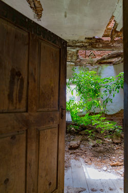 door