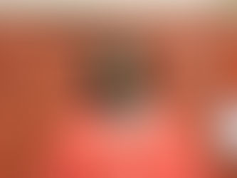 Powerhouse Dailey Receives UTEP Offer