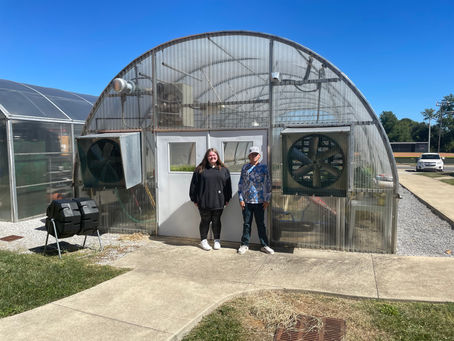 Pansies to be sold soon at the West High Green House