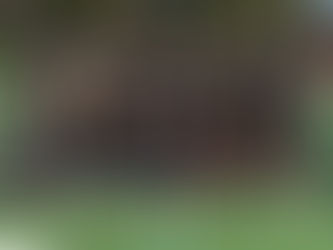 Best wishes to tennis team