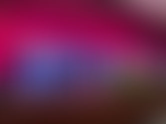 West High Honors Scholarship Recipients