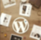 wordpress tema taslak