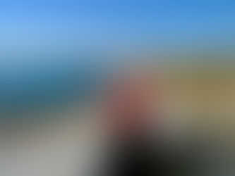 Happy Holidays! ...and Year-End Review