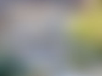 Food, images, and a review