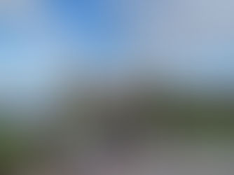 Royals and Ramblings