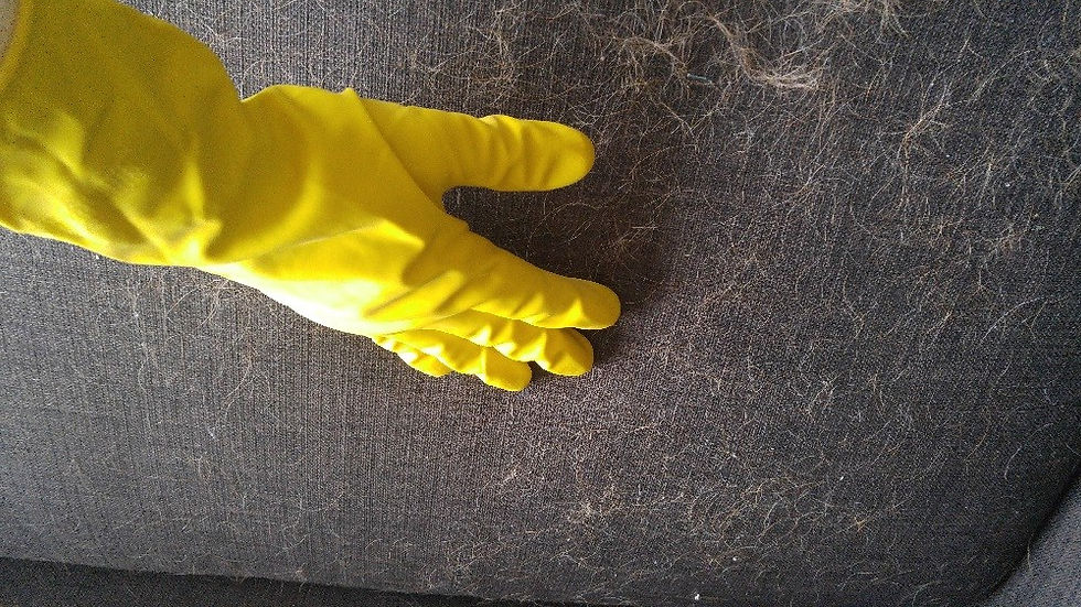 ree