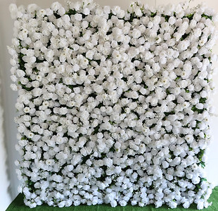 white wall.jpg