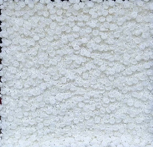 white rose wall.jpg