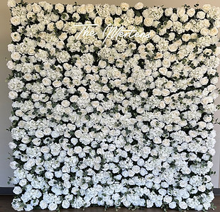white wall 2.jpg