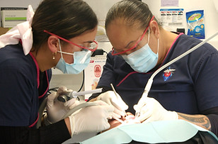 Niho taniwha Dental Unit.jpg