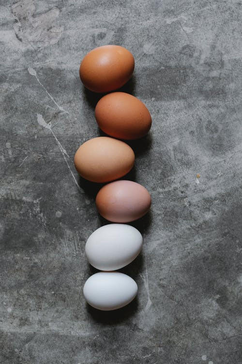 6 different colored eggs for protein nutrition