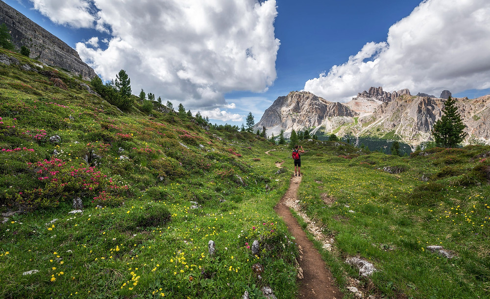 A woman hiking on a trail with green all around