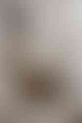 clean and fresh modern minimalist