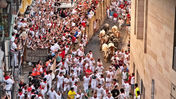 Jack Rogers runs in front of 12 bulls and steers along Pamplona's Calle de Santo Domingo waring white pants, red scarf around his neck, and a blue shirt. The cobblestone street is full of runners in white and red clothing trapped between walls and buildings as the bulls run by.