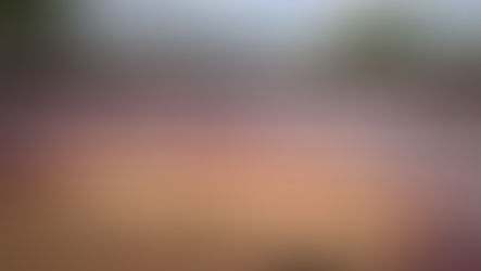 Crowded bullring with audience in white and red clothing, waving banners. Two horses on the sandy arena under a cloudy sky. Energetic atmosphere.