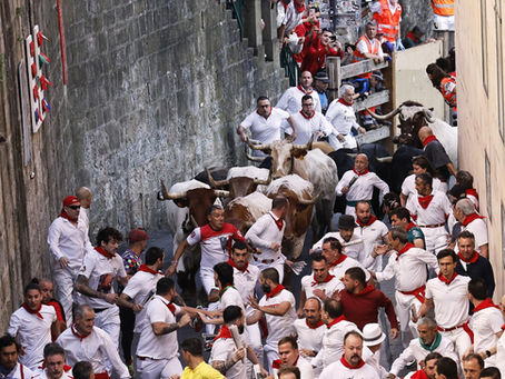 Runners wearing white and red clothing run between the high walls on Pamplona's Calle de Santo Domingo as six toros bravos and six steers charge after them.