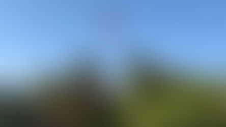 The red, black, green, and white Jordanian flag flies on a flagpole against a cloudless blue sky. There are green date palms in the foreground under the flag.