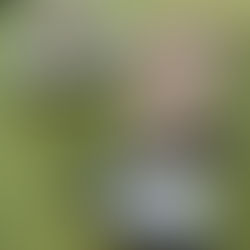 Dispatches - 19 October 2025 - Exhausted in the Back Half