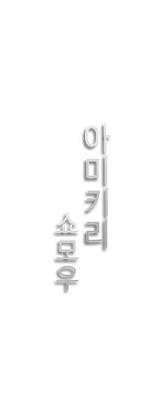 11아미키리쇼모우.png