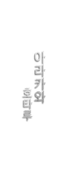 10아라카와호타루.png