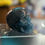 Thumbnail: Blue Apatite Crystal Skull – 302g