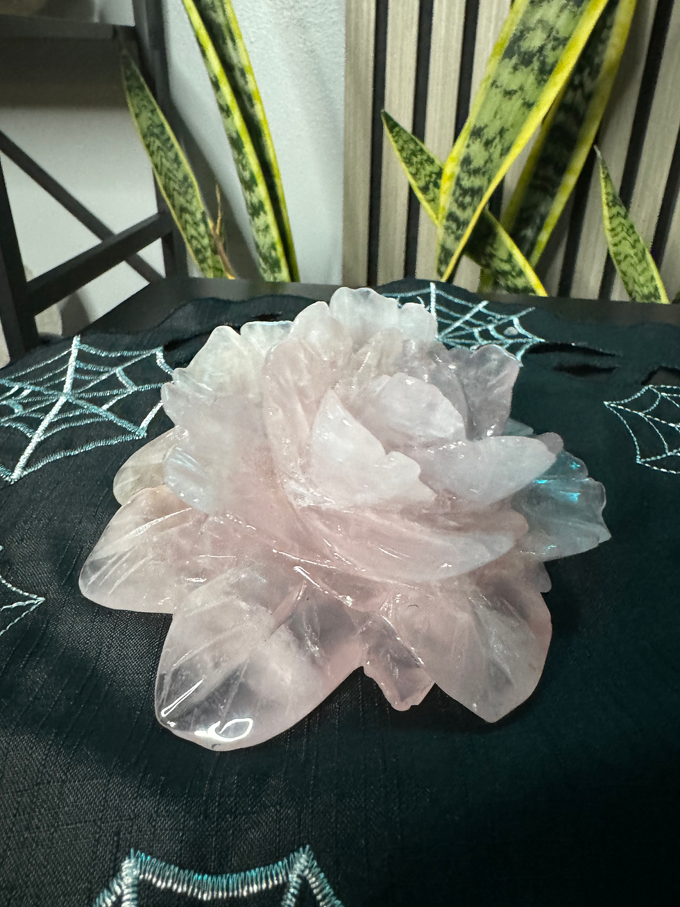 Rose Quartz Rose