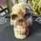 Thumbnail: Caribbean Calcite Skull