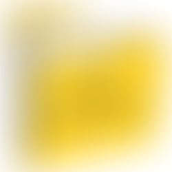 З В І Т

директора 
ЗДО № 33 «Дивограй» Святошинського району м. Києва
  Паливоди Ганни Володимирівни
перед педагогічним колективом та громадськістю 
про роботу в 2023-2024 н. р.
