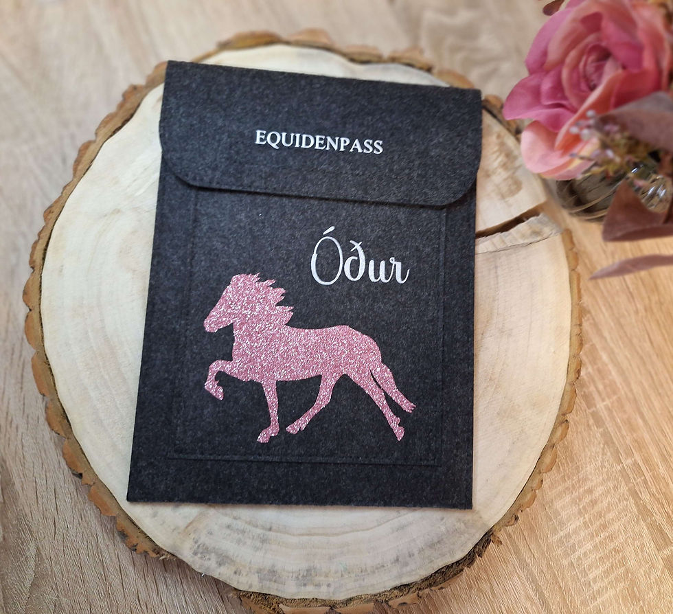 Miniaturbild: Individuelle Equidenpasshüllen