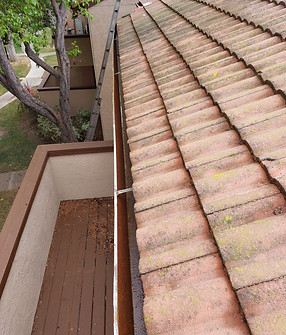 gutter-cleaning-in-norther-california.jpg