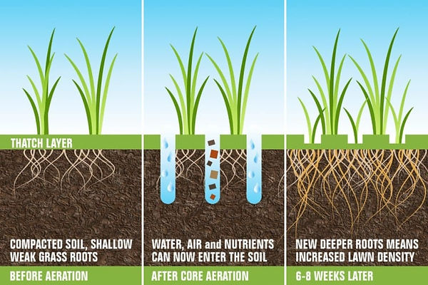 aeration2.jpeg